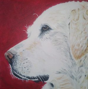 hondenportret portrait dog