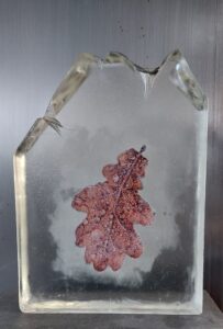 blad gevangen in epoxy